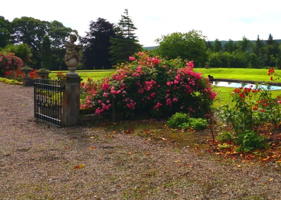 Roses, nymphs and lawns rolling down to the River Blackwater at the back of Tourin House.