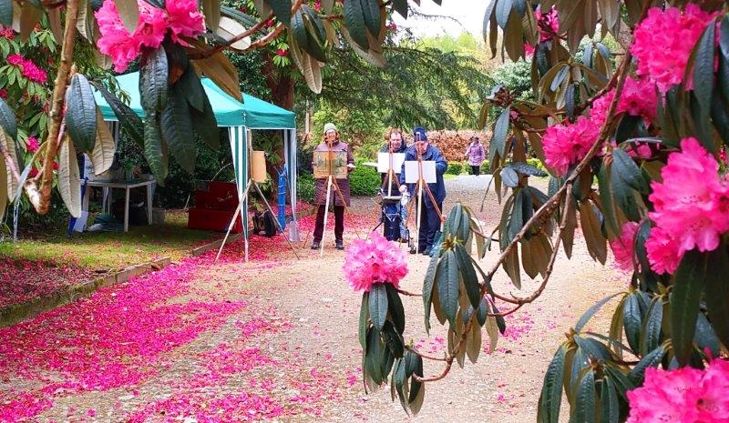 Kilmacurragh Painting Workshop students paint vibrant rhododendrons.