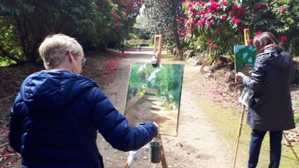 Painters map out the lights-&-darks to create the illusion of space in Kilmacurragh's Botanical Gardens with Rod Coyne.