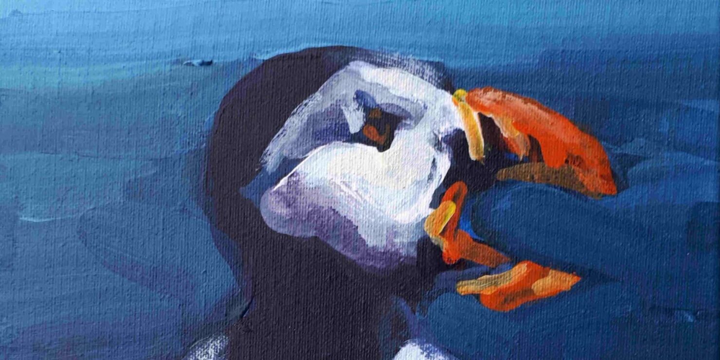 precahing puffin in detail by rod coyne