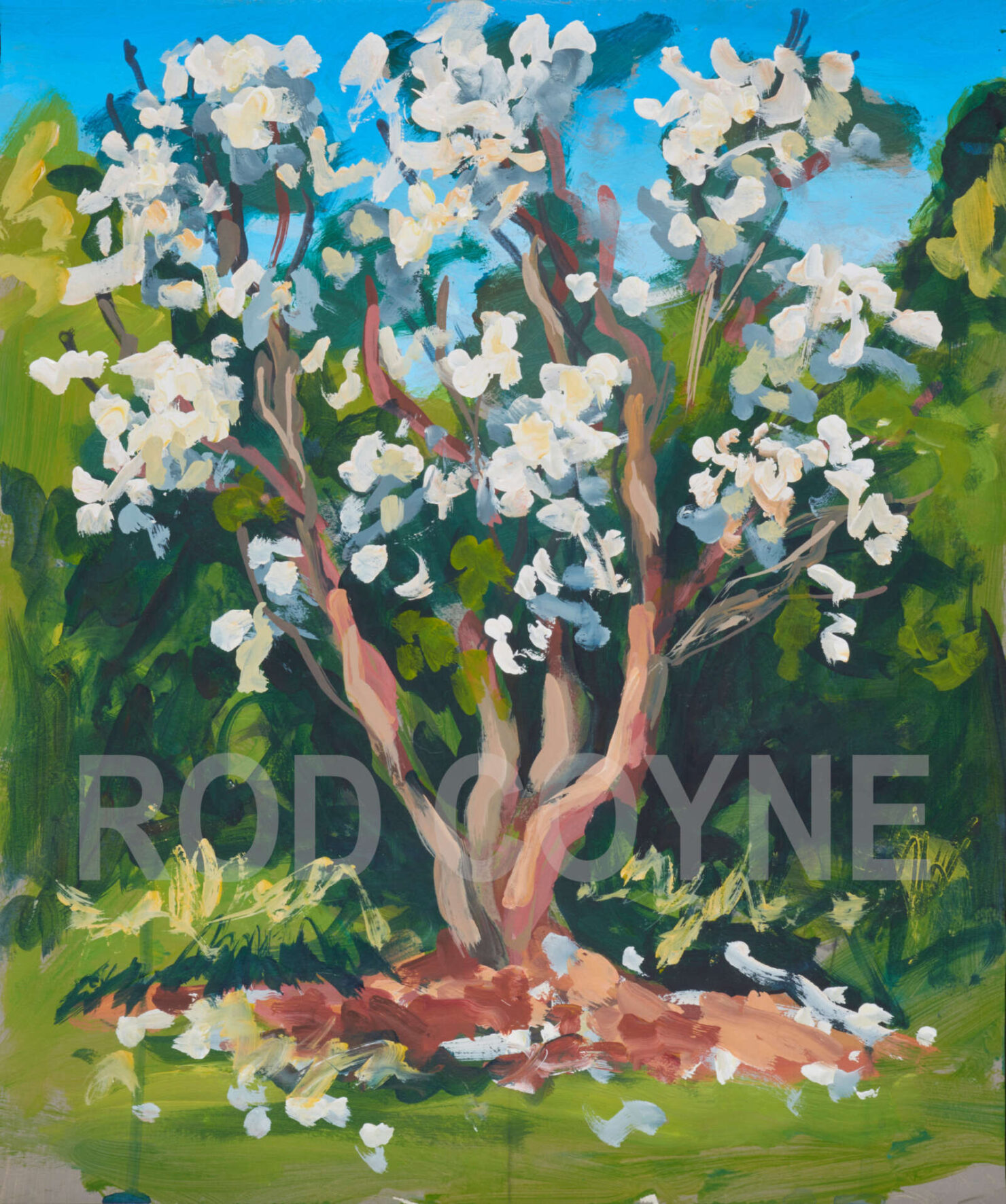 artist rod coyne's landscape painting "white rhodies" is shown here, watermarked.