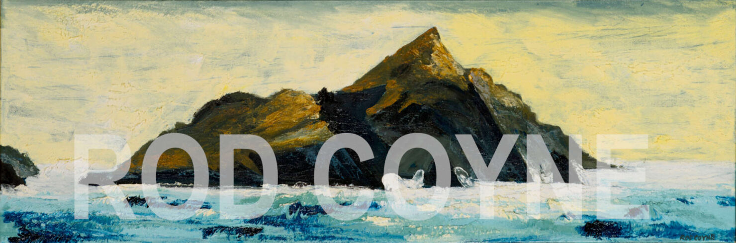 artist rod coyne's seascape "Puffin Tailwind" is shown here watermarked.